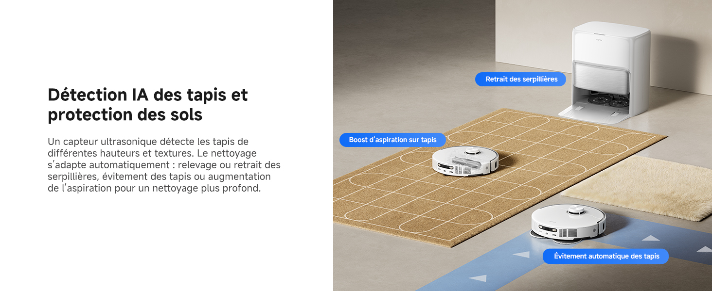 Carpet Detection