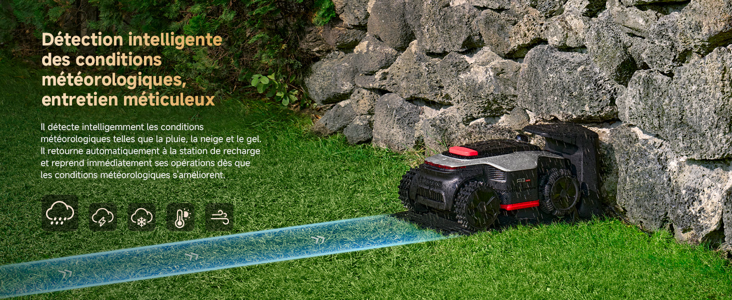 A3 AWD 2000-EUA French detail image 21