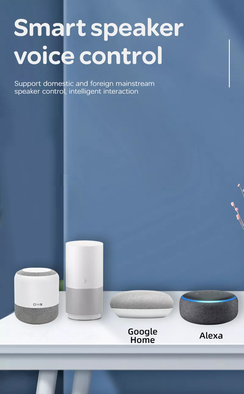 presa per alexa echo dot e google assistant