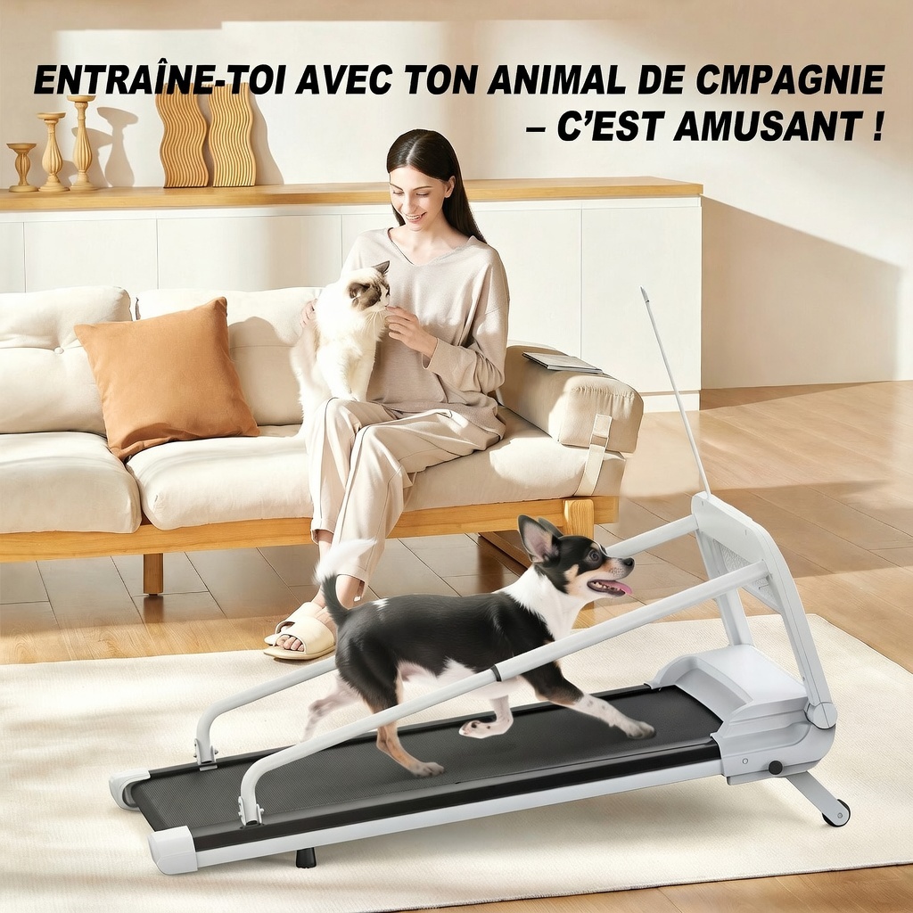 Détail surface 100×40 cm et chien courant confortablement