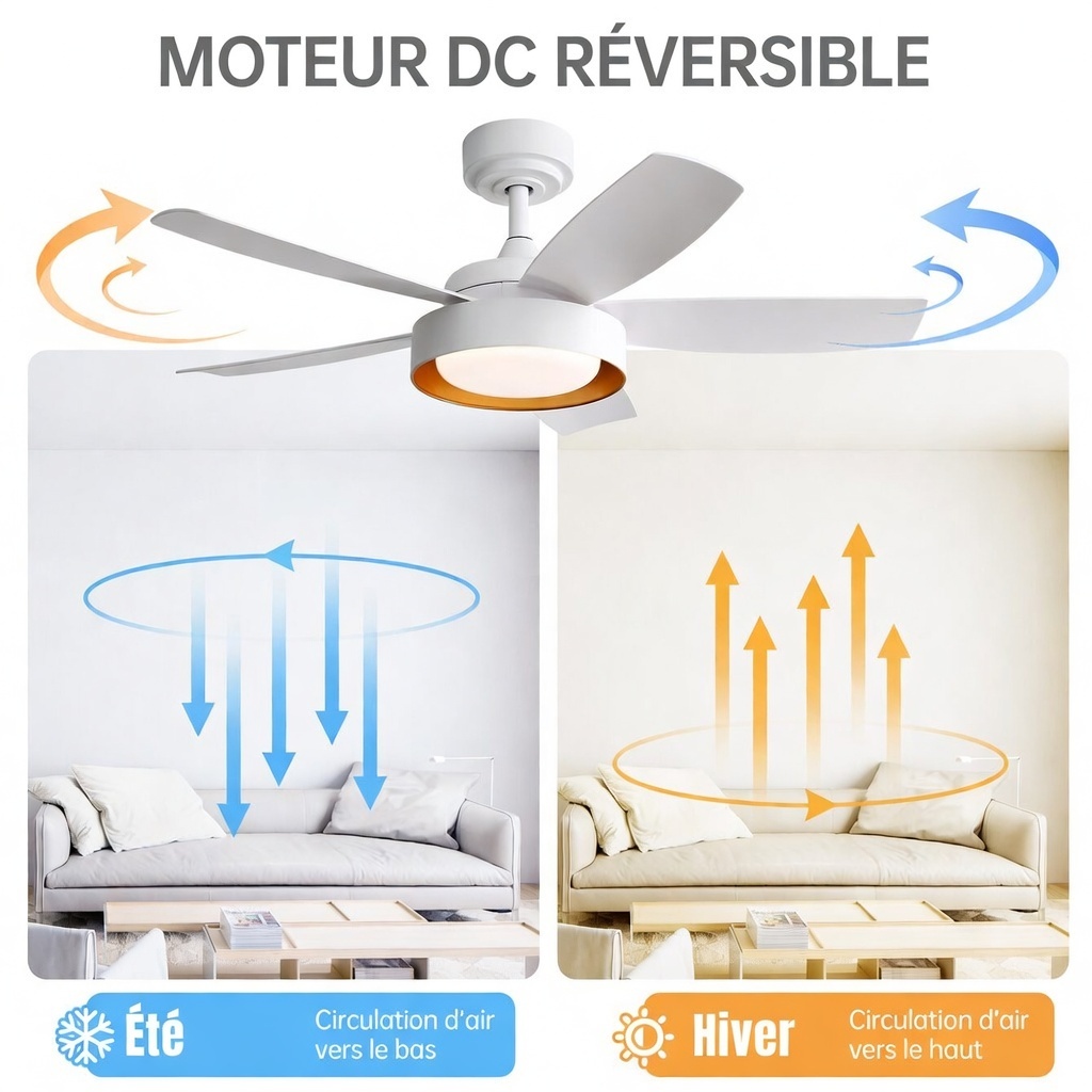 Moteur DC réversible été/hiver et pales détaillées