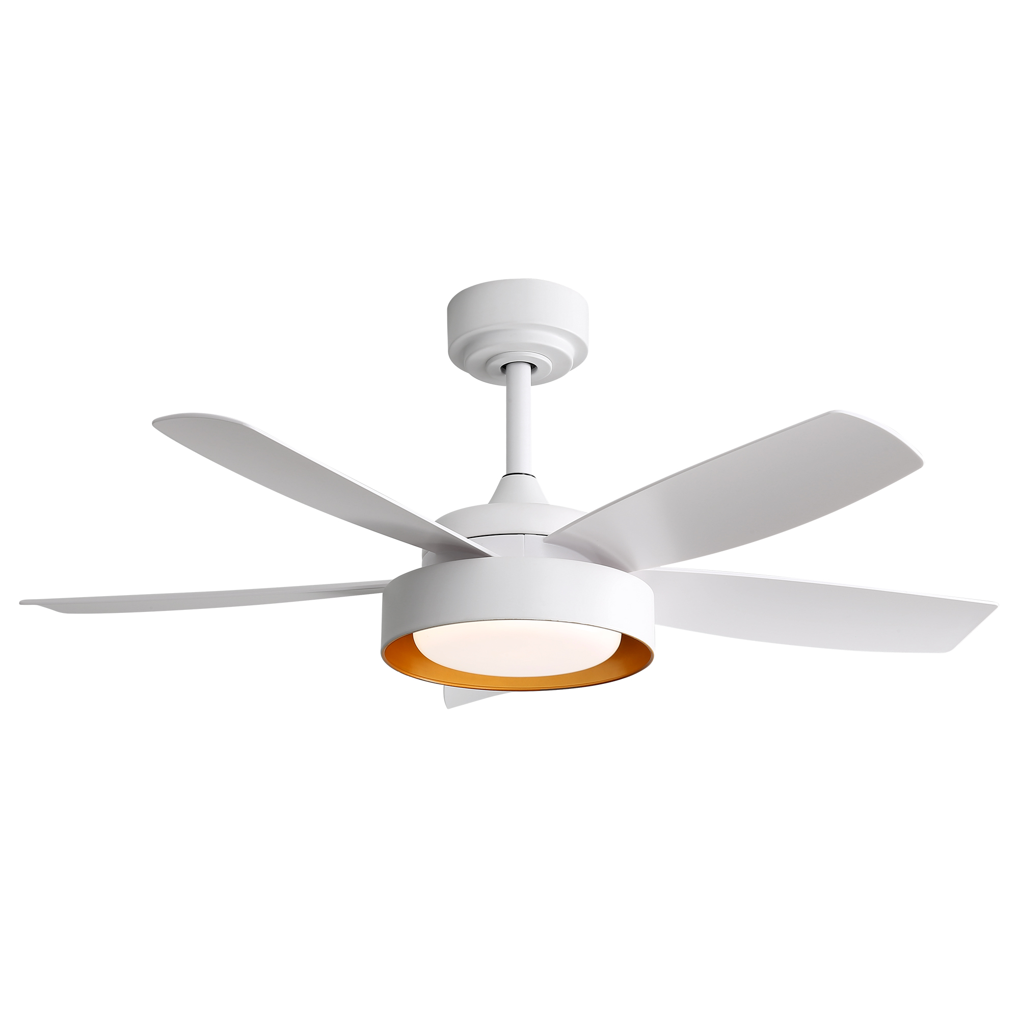 Détail télécommande 6 vitesses + lumière LED 3 couleurs