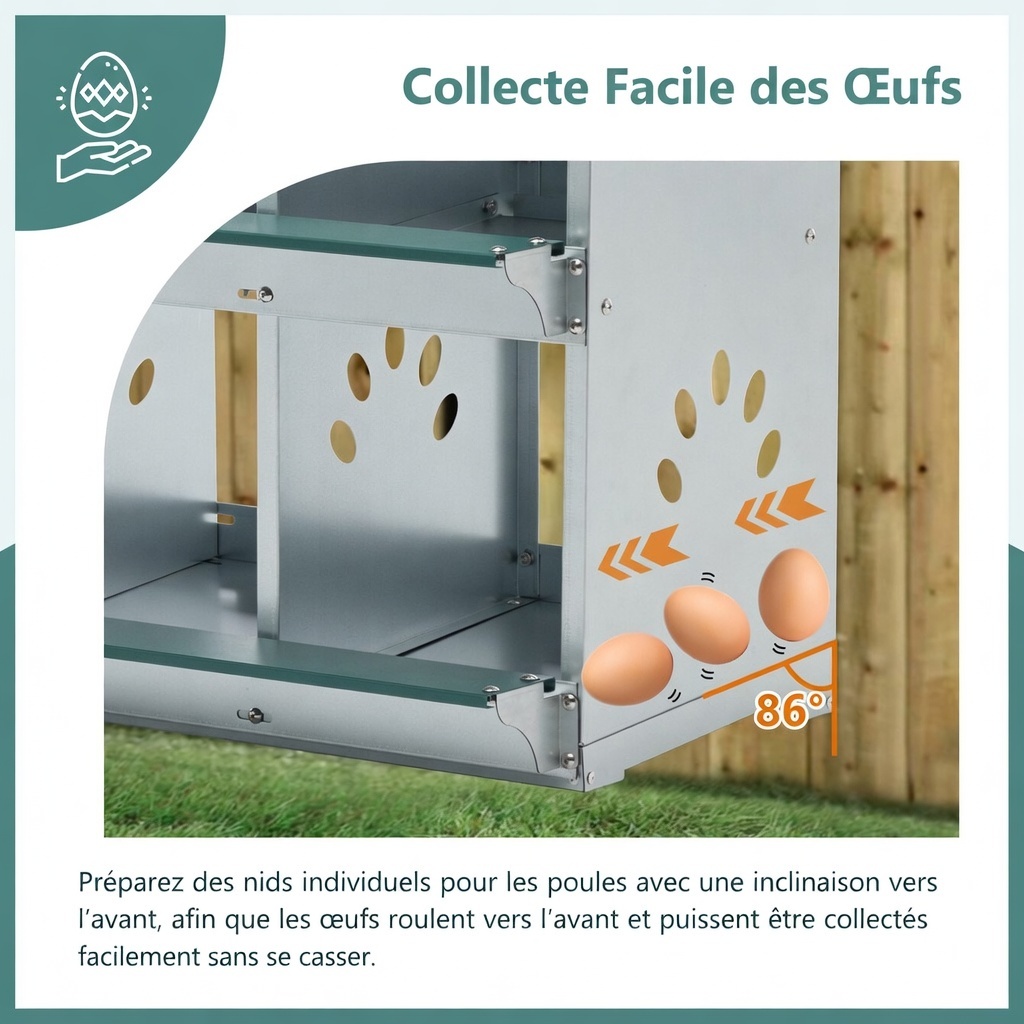 Détail sol incliné 86° et zone collecte œufs protégée