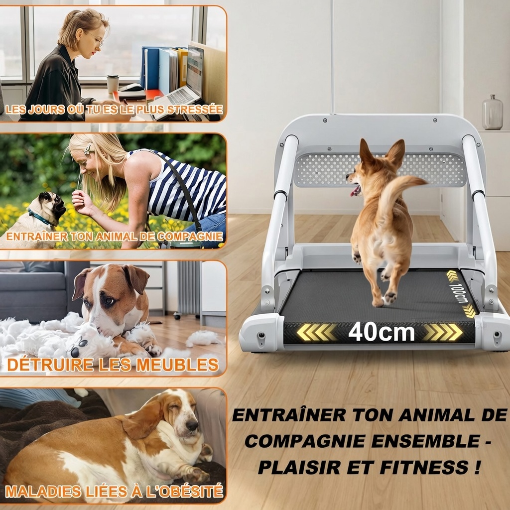 Moteur 2,5 PS puissant et commandes vitesse réglable