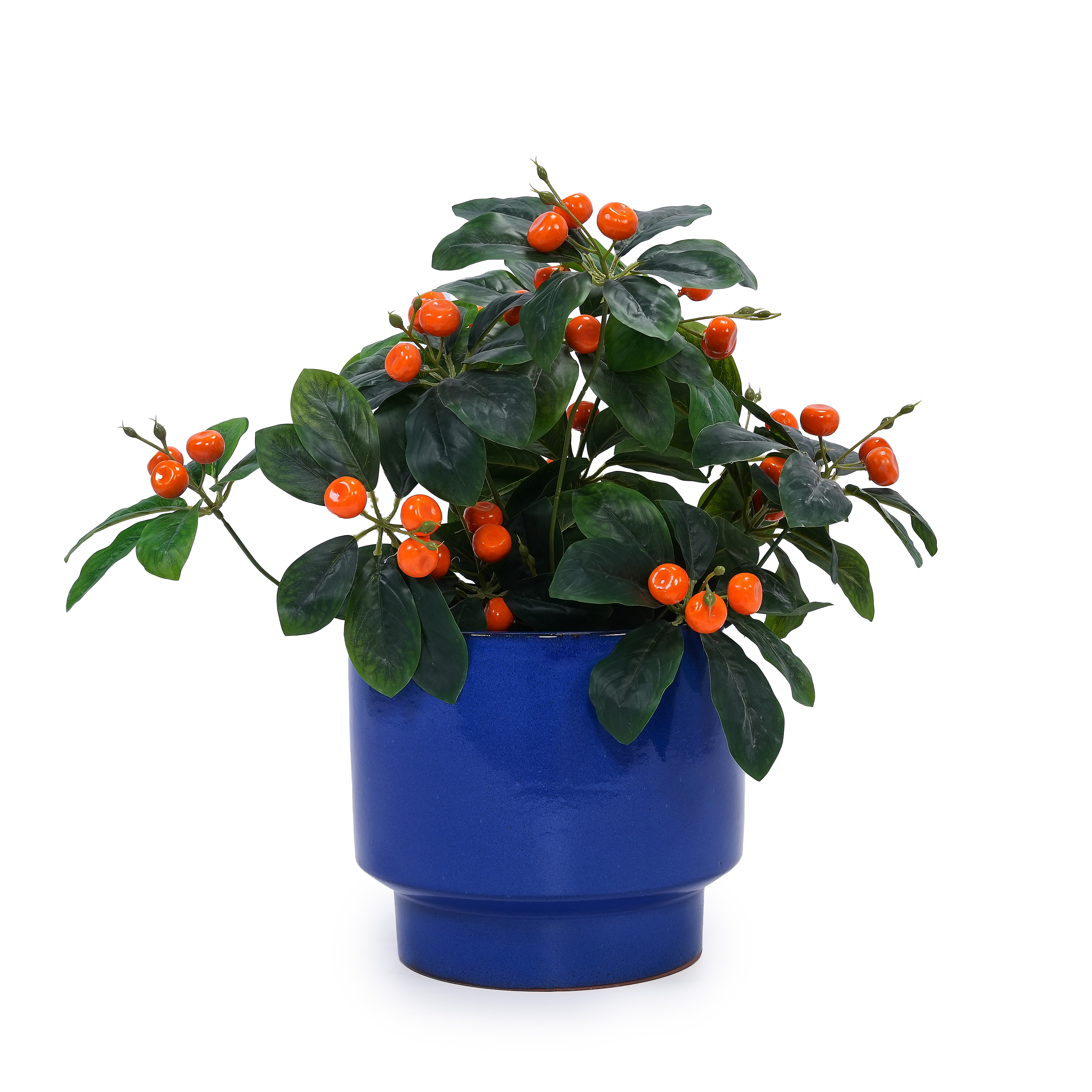Pots avec plantes pour mise en situation