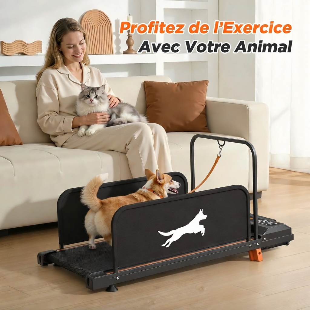 Tapis chien avec animal courant mode silencieux intérieur