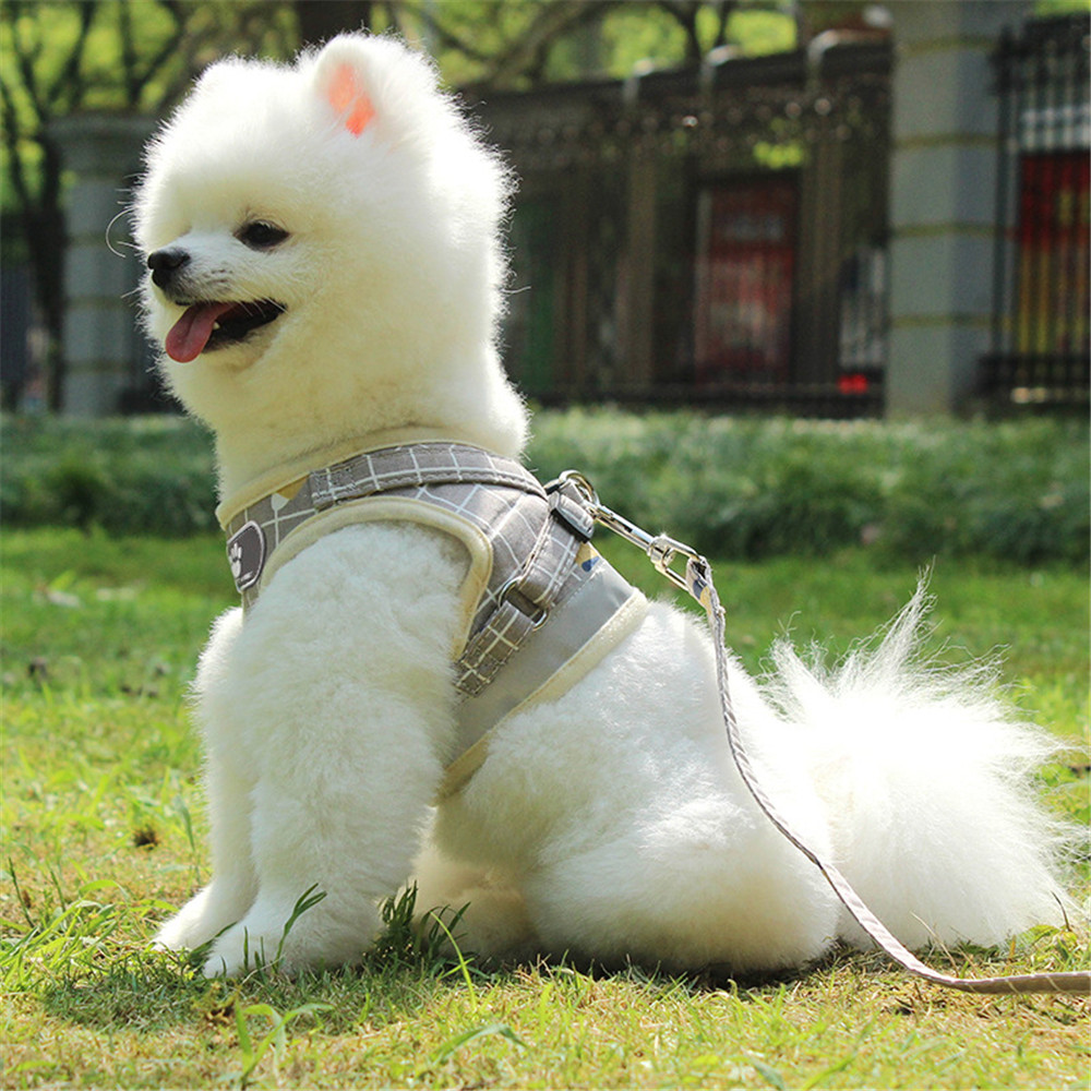 Harnais de Chien Gilet Collier Traction Réfléchissant Pour Petits Chiens Chat Courroie de Laisse de Promenade M / Rose