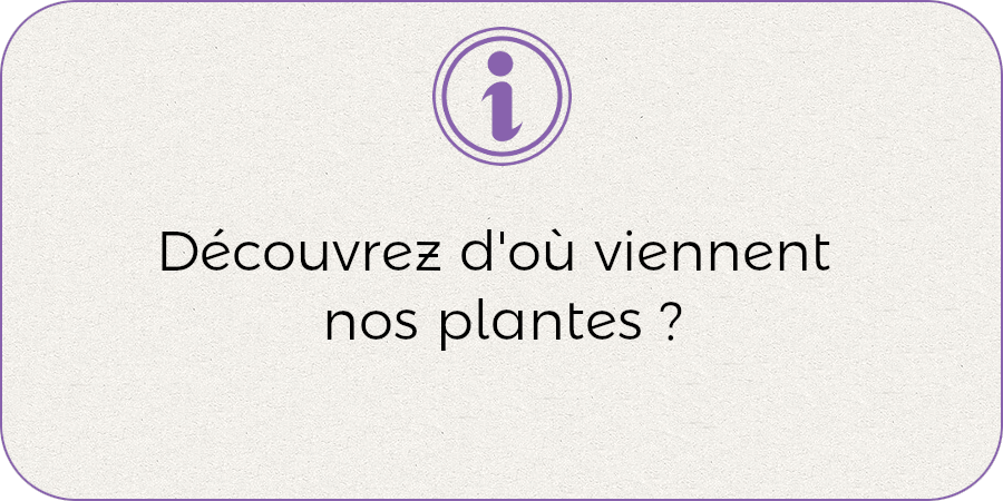 Découvrez d'où viennent nos plantes !