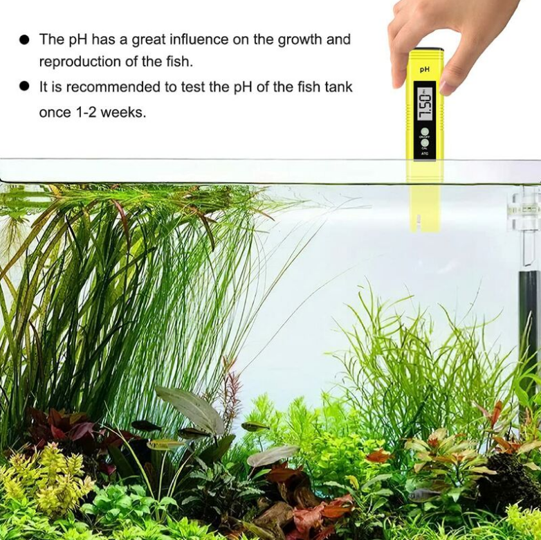 PH Testeur Electronique, Testeur De Qualité De L'eau Digital LCD,Fonction D'étalonnage Automatique Et 0.00-14.00 Portable PH Mètre Numérique Portable PH Mètre Numérique -Promos Brico Forte Boutique AAHKMJXYDAFdJAOAIMEbOAchXAymZXXBYPqGXlTBs68PJ apAS upoXK7iKC19i5hjjw01BYmhyFNV Sbdd8yZjCQbasBhWmOxlxpH4cg 3b1eho bDJ0R GU5ZuDtjpOw=