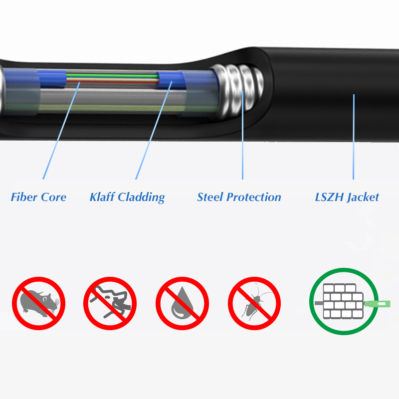 Vue détaillée fibre duplex acier