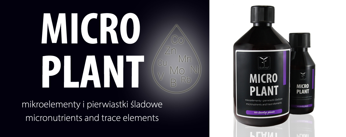 Micro-plante, Qualdrop.pl