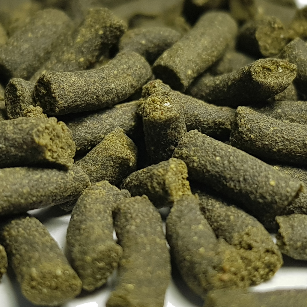 Algues - nourriture pour crevettes favorisant la croissance et la coloration