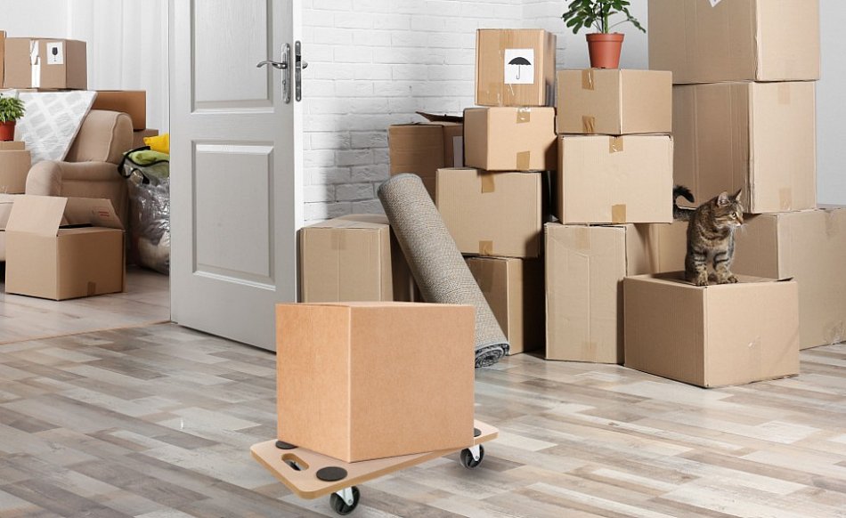 AREBOS Planche à Roulettes 4 Pièces Jusqu'à 200 Kg De Charge Roulettes De Transport Roulettes De Meubles -Stanleyfaco Magasin AAHKMJXYDAFdJAOAIMEbOAchYRuMdtVh5mmprswYJkh5Rdge76 john3CwTDU2Zq