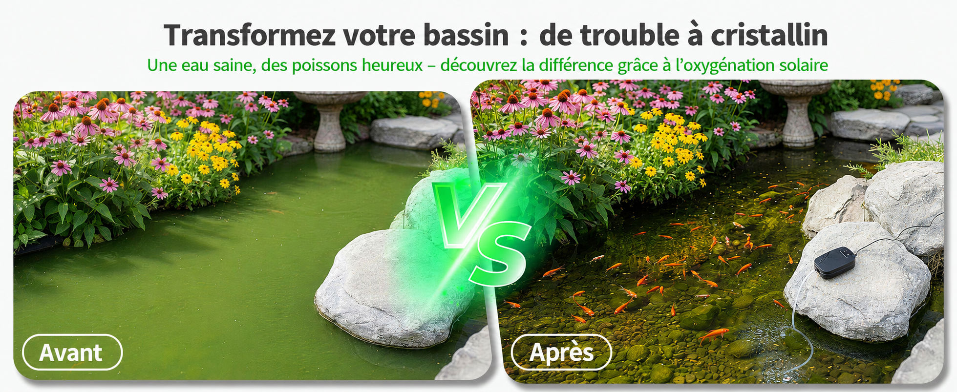 Avant après aération