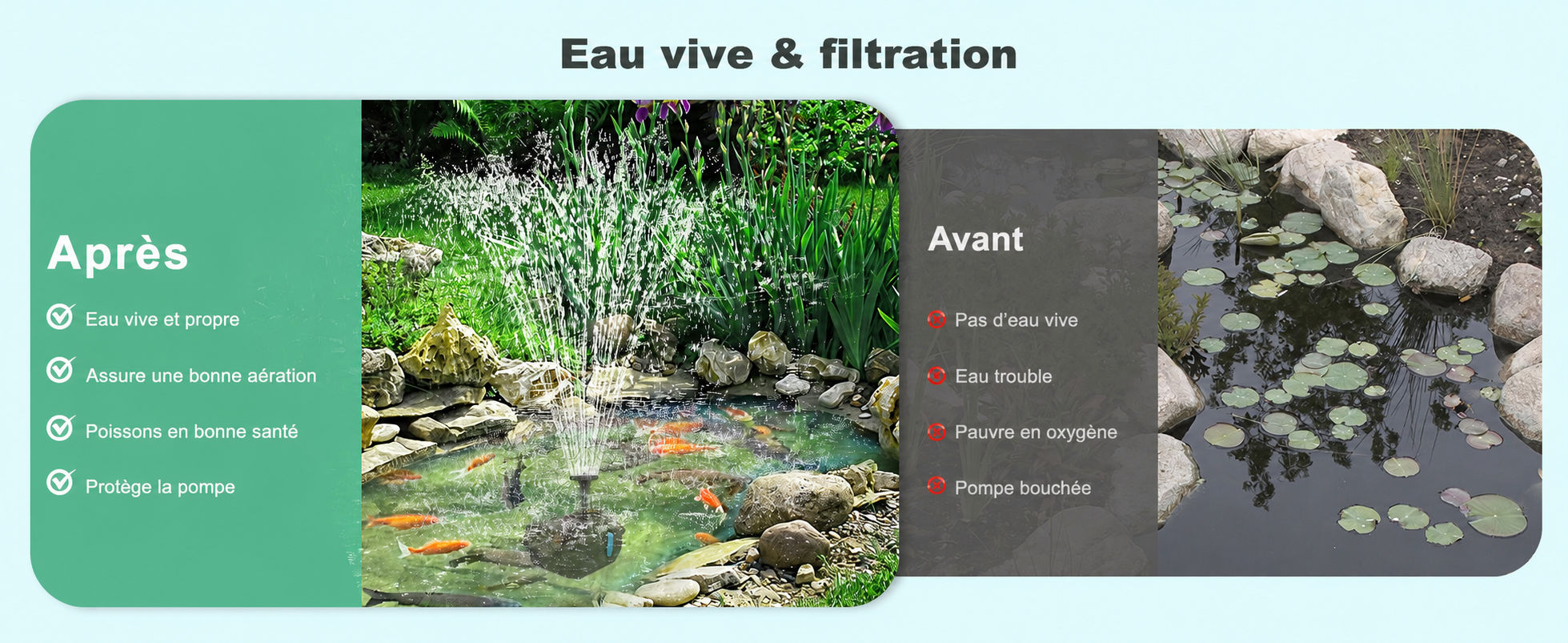 Eau plus claire et vivante