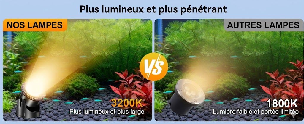 Éclairage sous-marin blanc chaud