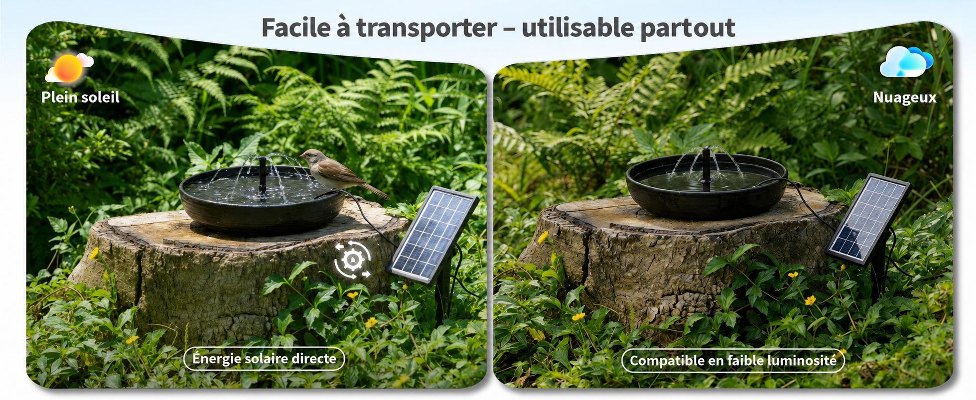Adaptée à différents environnements