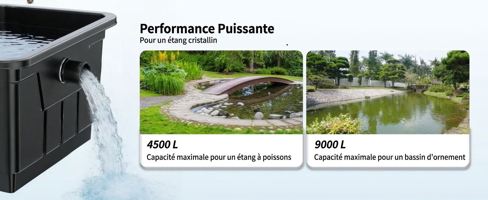 Purification de l'eau