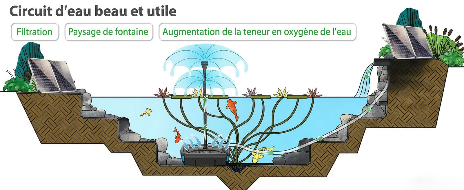 Buses Interchangeables et Vanne de Dérivation