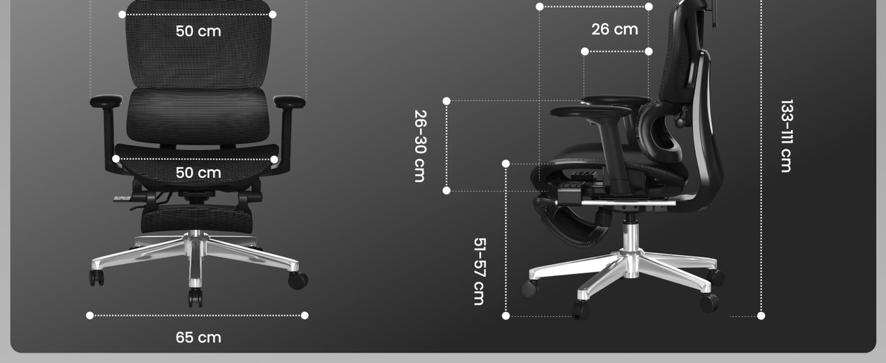 ErgoX 7