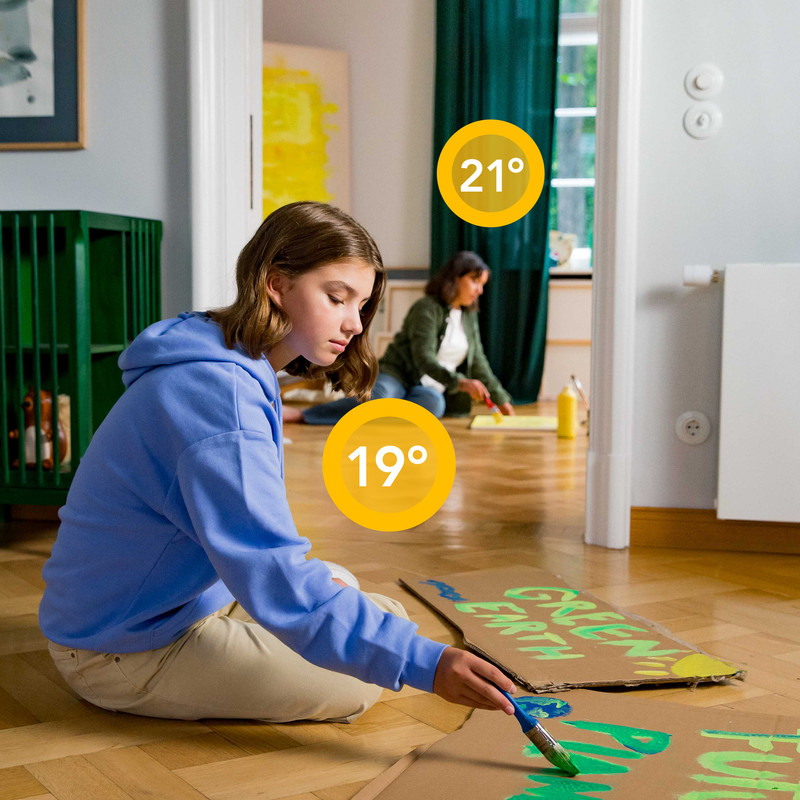 Roomba piantina casa