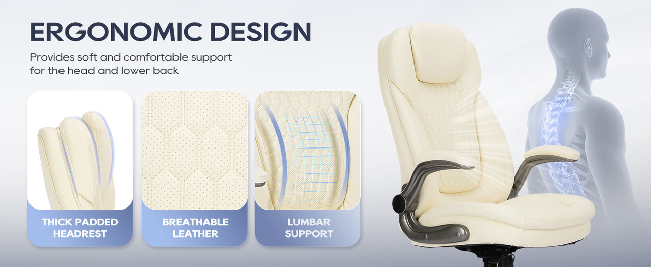 Chaise de bureau ergonomique