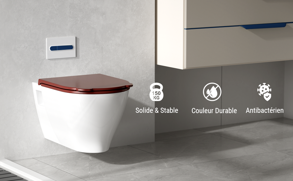 Abattant WC Forme D avec Poignée Hygiénique
