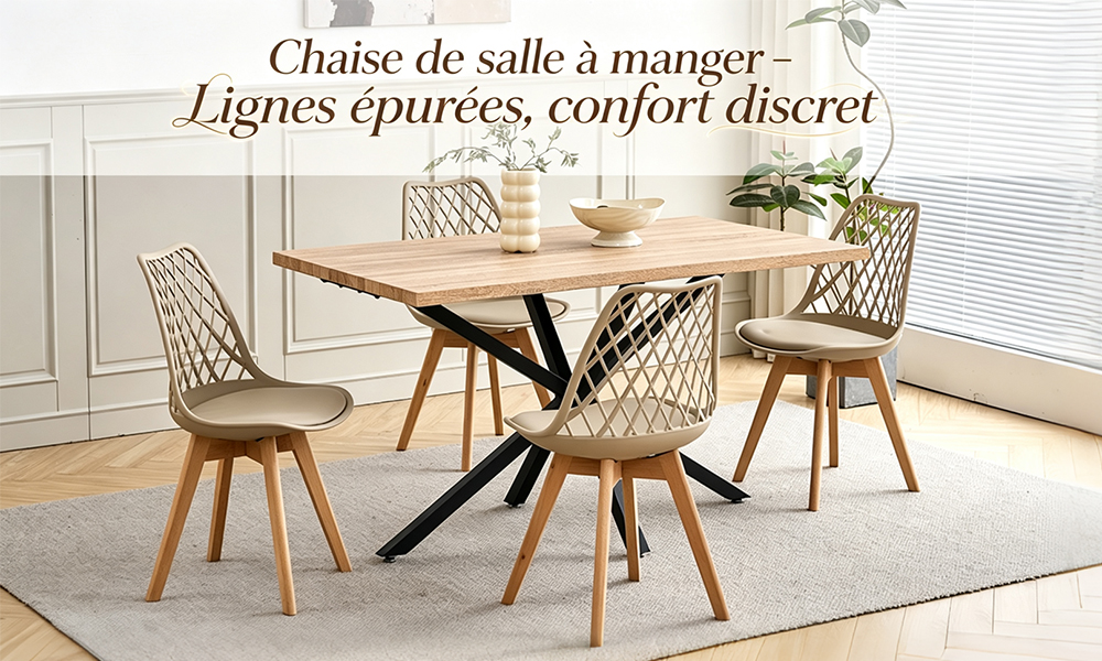 Chaise de salle à manger - vue d'ensemble