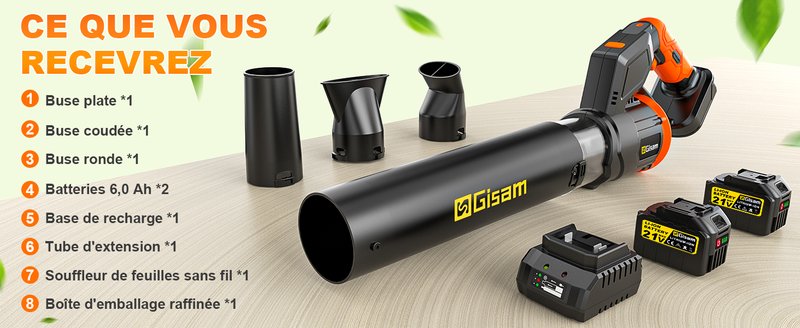 Appareil Jardin Portable 1.4kg Souffleur Feuilles Sans Fil Parkside | 2 Batteries 2.0Ah | 3 Vitesses Jusqu'à 240 Km/h | 1.4 Kg Souffleur Sans Fil Batterie 20V