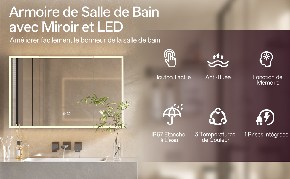 Armoire miroir LED pré-assemblée Aquawise
