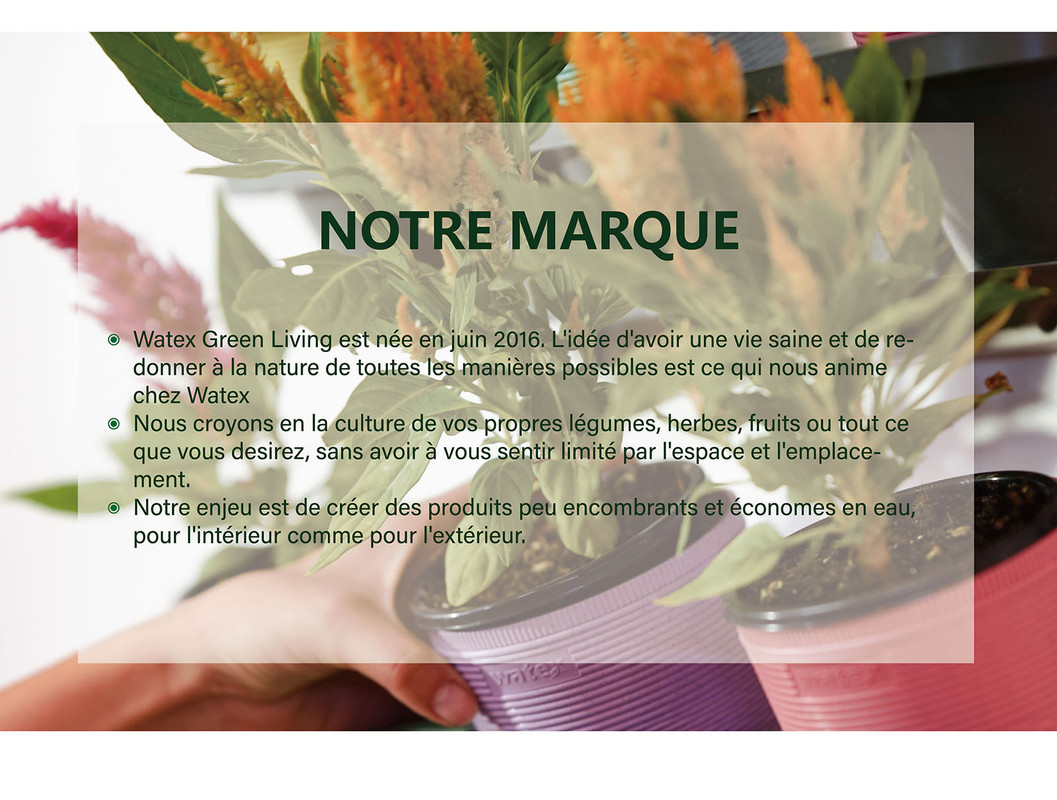 Promo Suspendu Mural 6 Pots De Fleurs Simples - 100% Plastique Recyclé Sans BPA, Gratuit Pour Bricoler Votre Décoration Colorée Pour Le Jardin Maison (coloré) à La Fois Intérieur Et Extérieur -Outsunny Eda Magasin