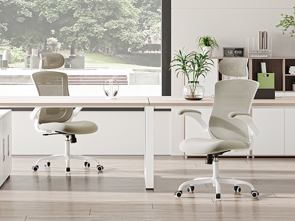 Chaise de bureau ergonomique COLAMY