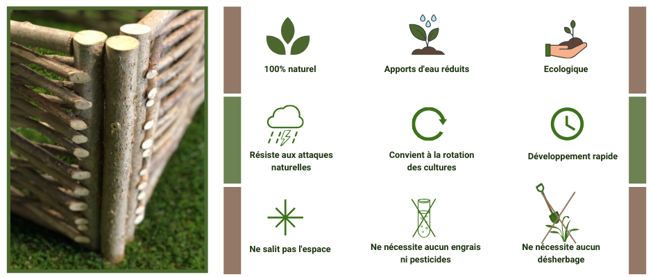 Carré Potager En Noisetier - Tressage Horizontal 70 X 70 X 30 Cm -Promos Jardin Noble Magasin AAHKMJXYDAFdJAOAIMEbOAchb yIjal GAyUEY81316dRuHBAs3qGZZl Y1Omn4RRDTQIqBg3RhjcYkw3jcP1I5uSr87bOvRa