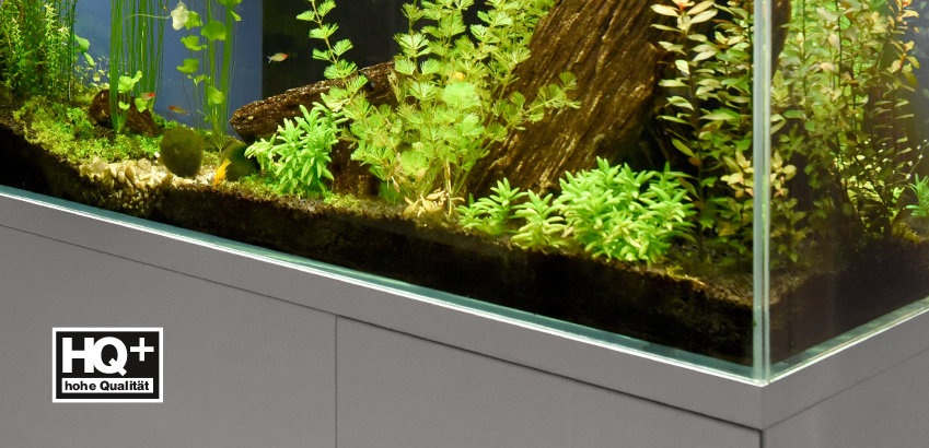 ISB_Aquarium_SET_1_D.jpg