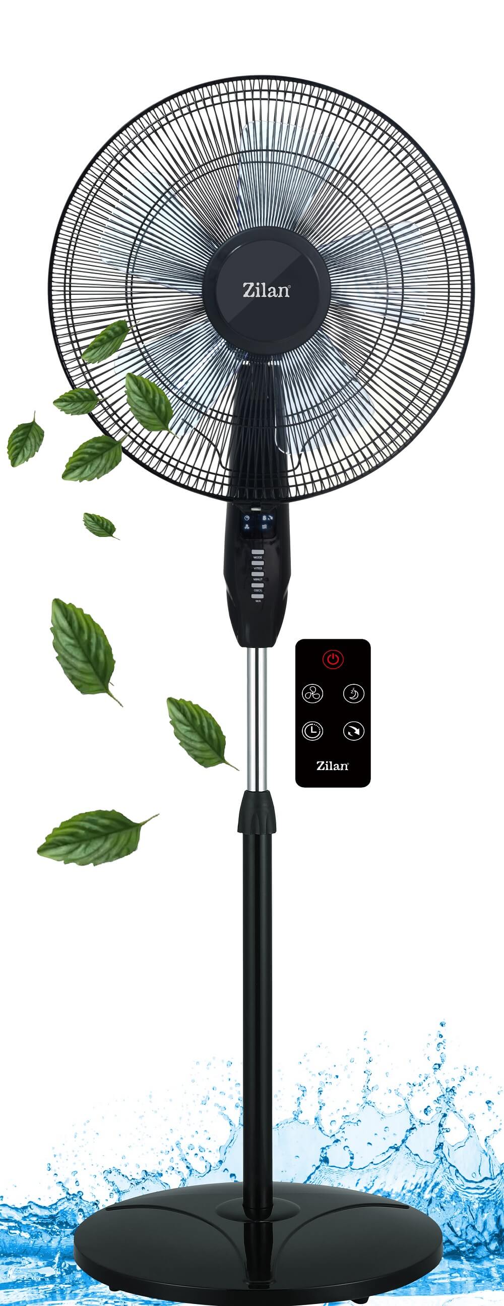 Zum Vergrößern bitte anklicken