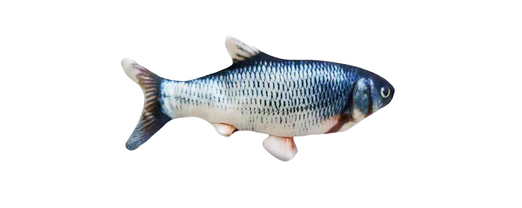 FLIPPITYFISH : Pesce Ballerino Interattivo Per Cani E Gatti -Cibi per gatti Italia AAHKMJXYDAFdJAOAIMEbOAchdvlHC555PCtNJ7VzCNL6cNV zY6DRgdVWVKh4C9iJS18e9oUkEVVX8nD028 QeBiAV6ISyN pcoi6K