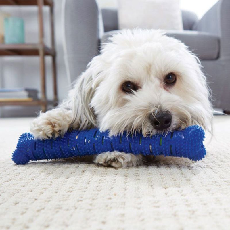 CHEWBRUSH: Osso Da Masticare Anti-tartaro Per Cani -Cibi per cani in Italia AAHKMJXYDAFdJAOAIMEbOAchdvlHC555PCtNJ7VzCNL6cNV zY6DRgdVWVKh4C9iJS18e9oUkEVVX8nD028 QeBi 5lsacZod85ylJLd3YVajRgFRILXCqSDk jVL5Wc82lAM31OoB JaCULfjCy