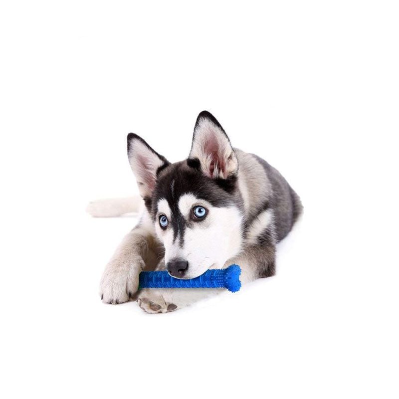 CHEWBRUSH: Osso Da Masticare Anti-tartaro Per Cani -Cibi per cani in Italia AAHKMJXYDAFdJAOAIMEbOAchdvlHC555PCtNJ7VzCNL6cNV zY6DRgdVWVKh4C9iJS18e9oUkEVVX8nD028 QeBi 5lsacZod85ylJLd3YVajRgFRILXCqSDk jVL5Wc82lAM31OoB JaCULfjCy