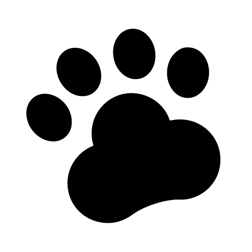 FLIPPITYFISH : Pesce Ballerino Interattivo Per Cani E Gatti -Cibi per gatti Italia AAHKMJXYDAFdJAOAIMEbOAchdvlHC555PCtNJ7VzCNL6cNV zY6DRgdVWVKh4C9iJS18e9oUkEVVX8nD028 QeBizkbM2SNkfXh79TMGghvnXjxpSs EBbAD e36XCMcv4XQcXh3yGlIYpX cZEkpEzMqrYpLFGucR3tordfqDI91A==