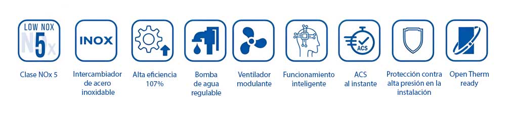 Características de la caldera Beroa