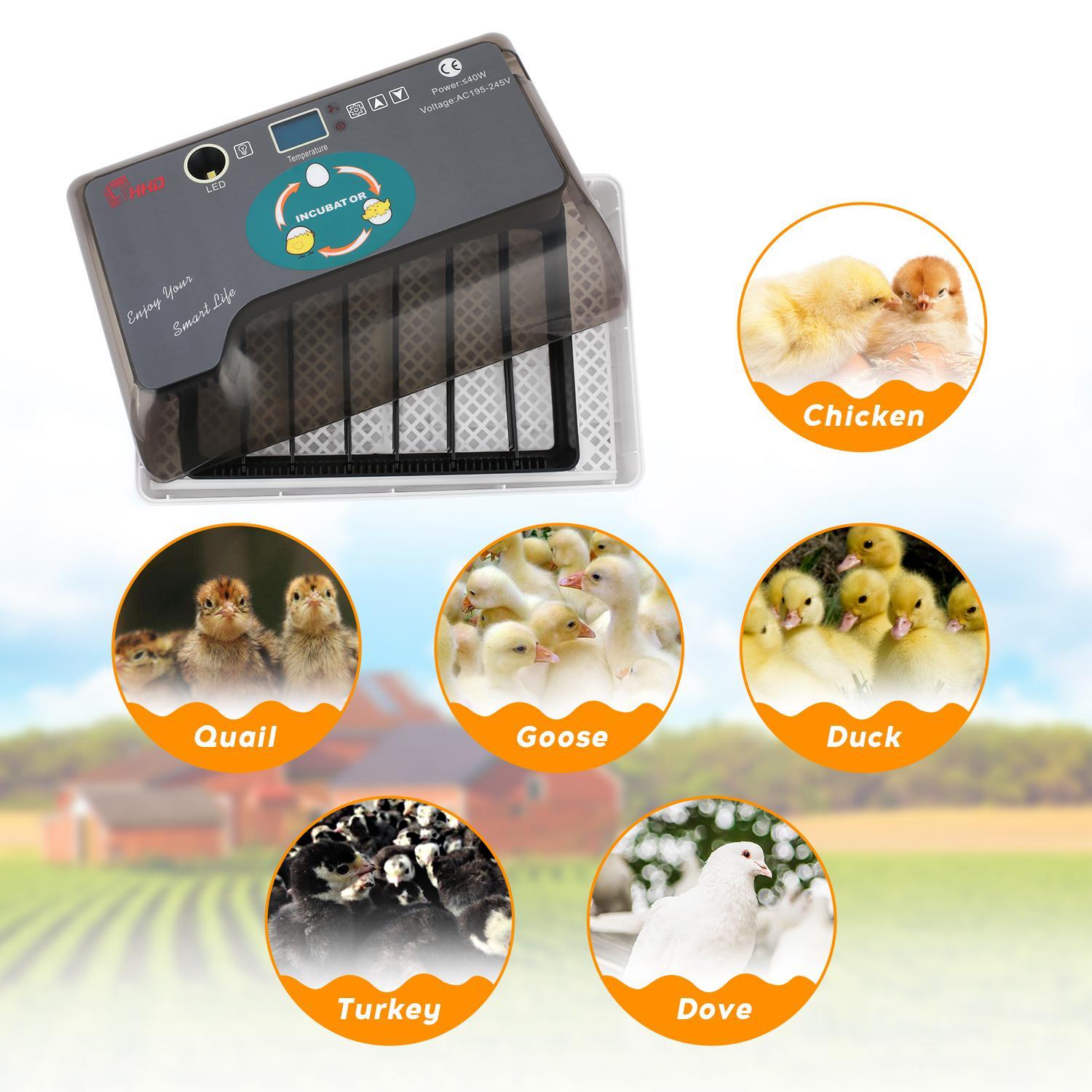 Couveuse Automatique 12 Oeufs, Incubateur Intelligent Numérique Pour Volaille - Contrôle De La Température - Lumière LED -Trixie || Flamingo Soldes Magasin AAHKMJXYDAFdJAOAIMEbOAchf9L3lWnVlqfwLHgeJwPlHatq4QdflIuXL330w15i2so1q KbS4C1lu69I6GPFAj