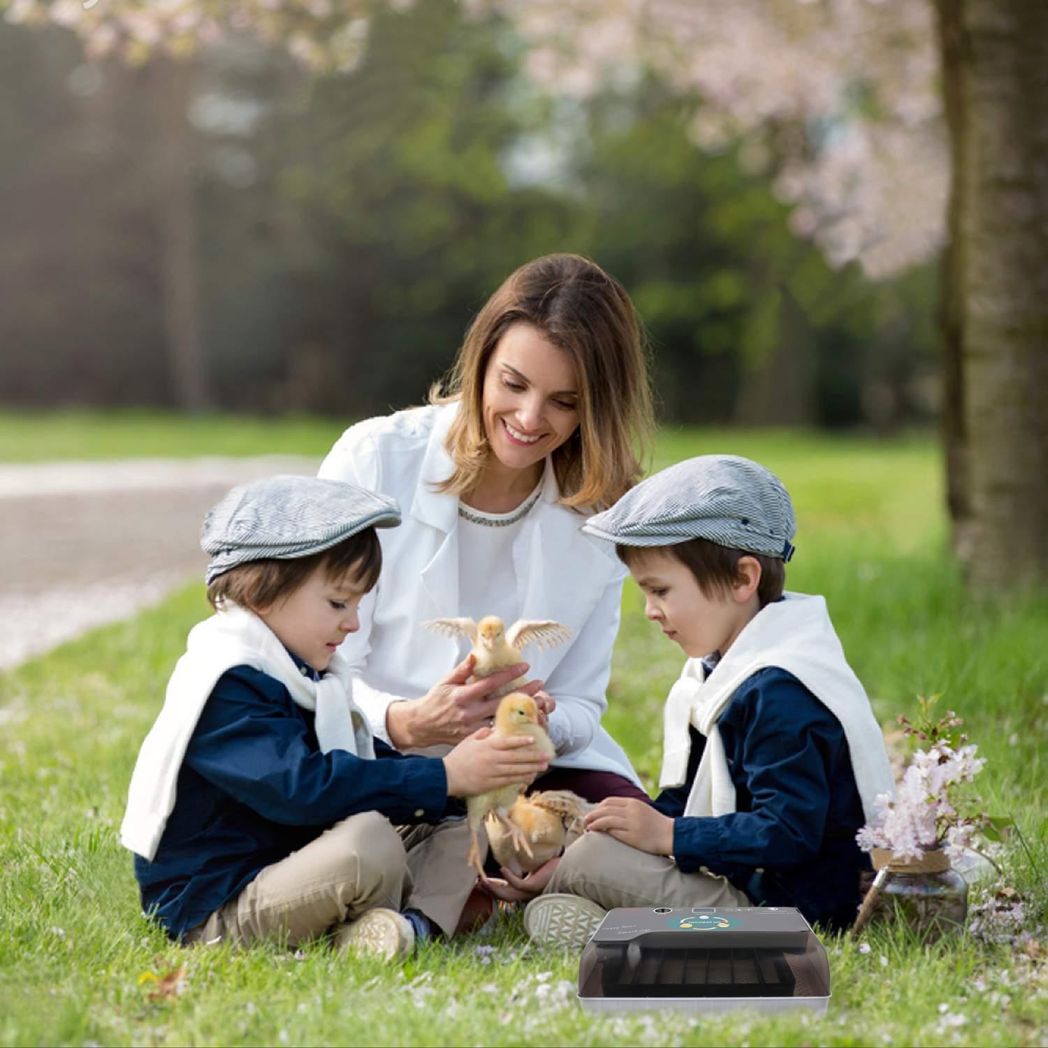 Couveuse Automatique 12 Oeufs, Incubateur Intelligent Numérique Pour Volaille - Contrôle De La Température - Lumière LED -Trixie || Flamingo Soldes Magasin AAHKMJXYDAFdJAOAIMEbOAchf9L3lWnVlqfwLHgeJwPlHatq4QdflIuXL330w15i2so1q KbS4C1lu69I6GPFAj