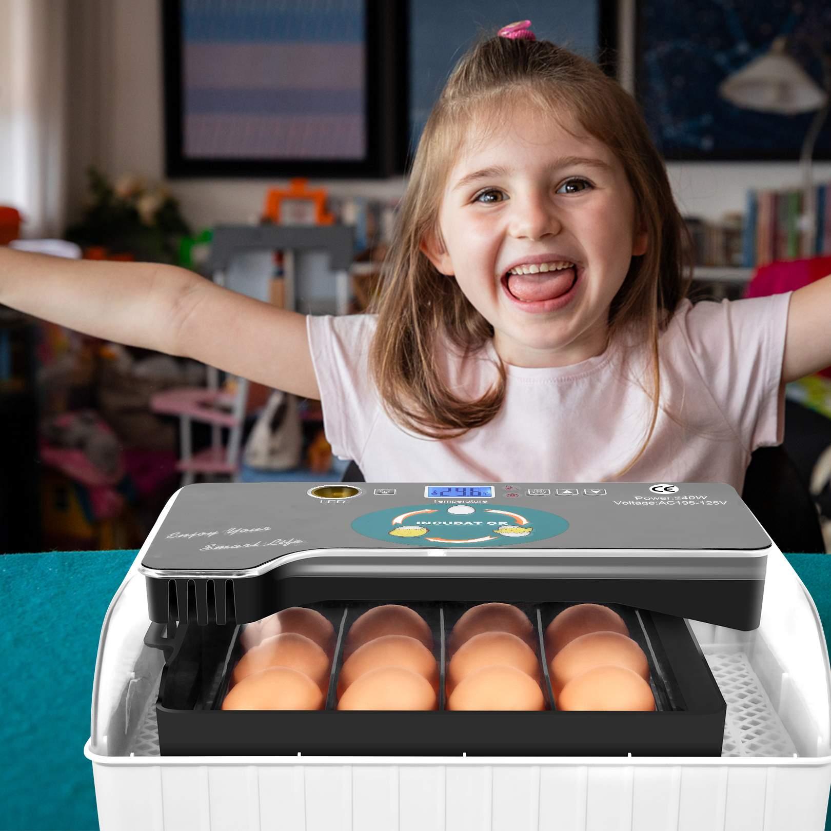 Couveuse Automatique 12 Oeufs, Incubateur Intelligent Numérique Pour Volaille - Contrôle De La Température - Lumière LED -Trixie || Flamingo Soldes Magasin AAHKMJXYDAFdJAOAIMEbOAchf9L3lWnVlqfwLHgeJwPlHatq4QdflIuXL330w15i2soehhQl7ZP1z1F4NZnd2Em7PaGtVybkwMShyNT3iWMzd U qzOCoXbK6iXro 0s9A=