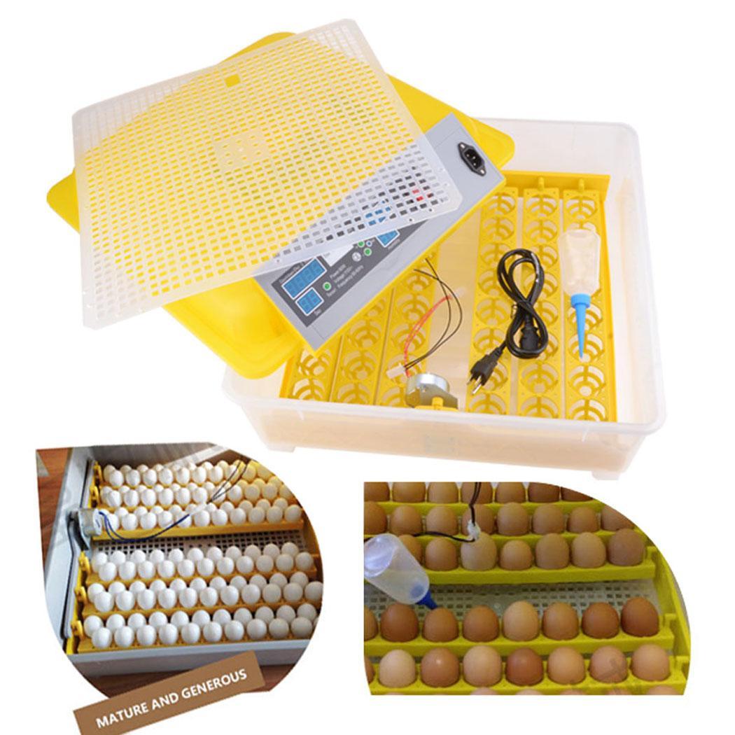 Couveuse Automatique 48 Oeufs Intelligent - Incubateur Pour L'éclosion De Poussins 80W - Contrôle Numérique De La Température - Jaune -Trixie || Flamingo Soldes Magasin AAHKMJXYDAFdJAOAIMEbOAchf9L3lWnVlqfwLHgeJwPlHatq4QdflIuXL330w15i2srI3dbKc9iEtDZfvDvZZWEp663n Qj1HH2XPOg1VHPOUZlQ4oiAKp5vbc8r8TcPLkQ=