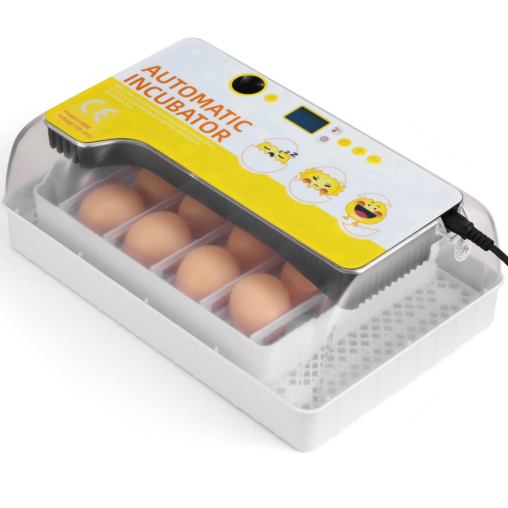 Couveuse Automatique 12 Oeufs Avec Mirage De LED Pour L'observation Des Oeufs - Incubateur Intelligent Numérique Pour Volaille - Contrôle De La Température - Blanc -Trixie || Flamingo Soldes Magasin AAHKMJXYDAFdJAOAIMEbOAchf9L3lWnVlqfwLHgeJwPlHatq4QdflIuXL330w15i2sryek6wbTEVa2mn6ChDs0C02hO5e4XOmcTl3GGujA9Pz jGMB5g