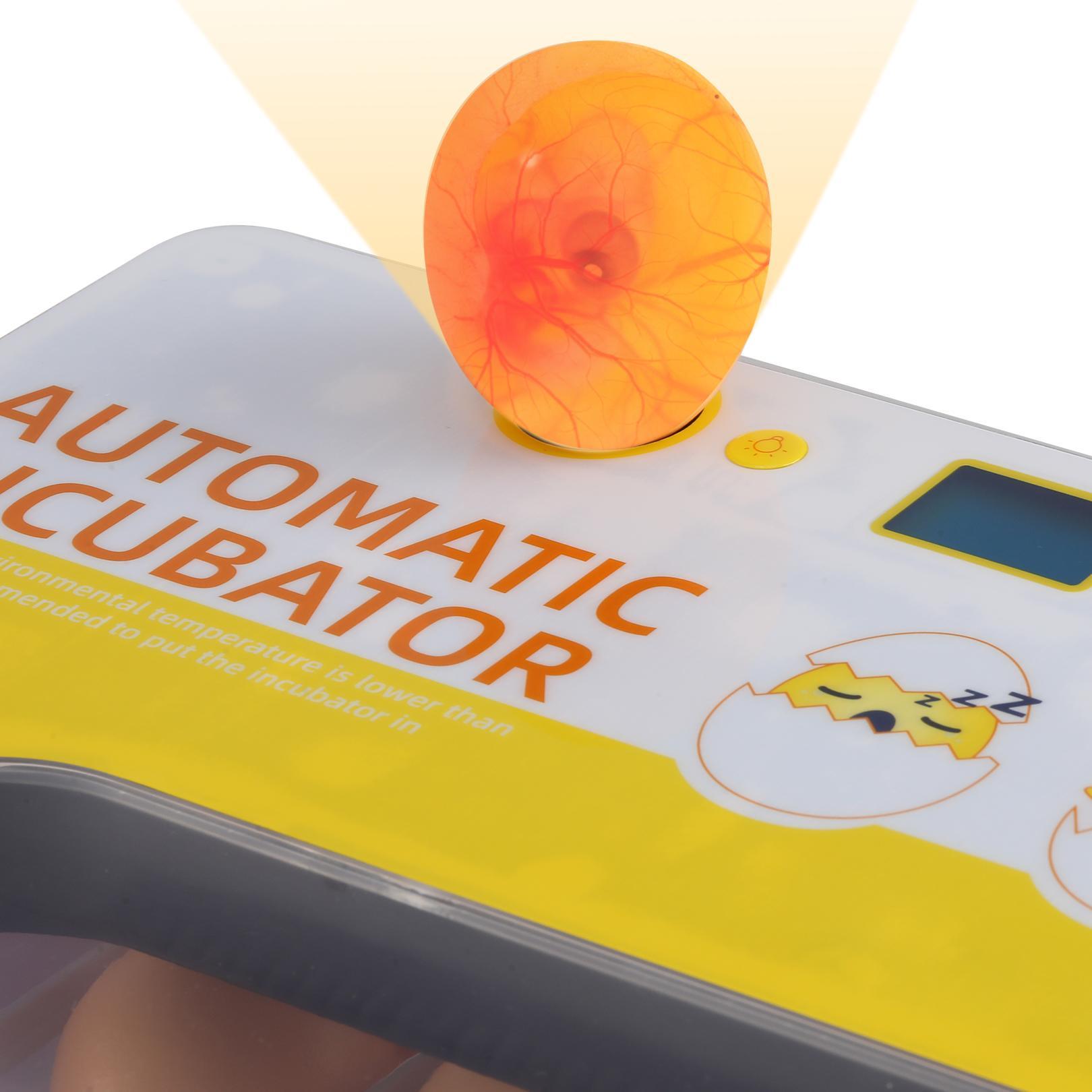 Couveuse Automatique 12 Oeufs Avec Mirage De LED Pour L'observation Des Oeufs - Incubateur Intelligent Numérique Pour Volaille - Contrôle De La Température - Blanc -Trixie || Flamingo Soldes Magasin AAHKMJXYDAFdJAOAIMEbOAchf9L3lWnVlqfwLHgeJwPlHatq4QdflIuXL330w15i2sryek6wbTEVa2mn6ChDs0C02hO5e4XOmcTl3GGujA9Pz0wQdGlqlV7mkQiW Uo3GSrbPrYBSukh7tOY rRdCtaU