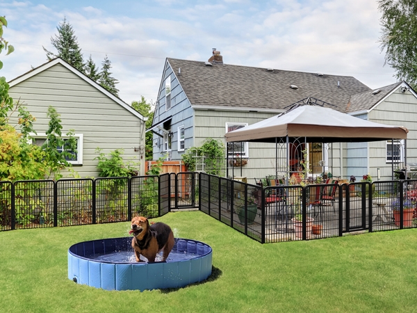 Enclos pour Chien Pliable