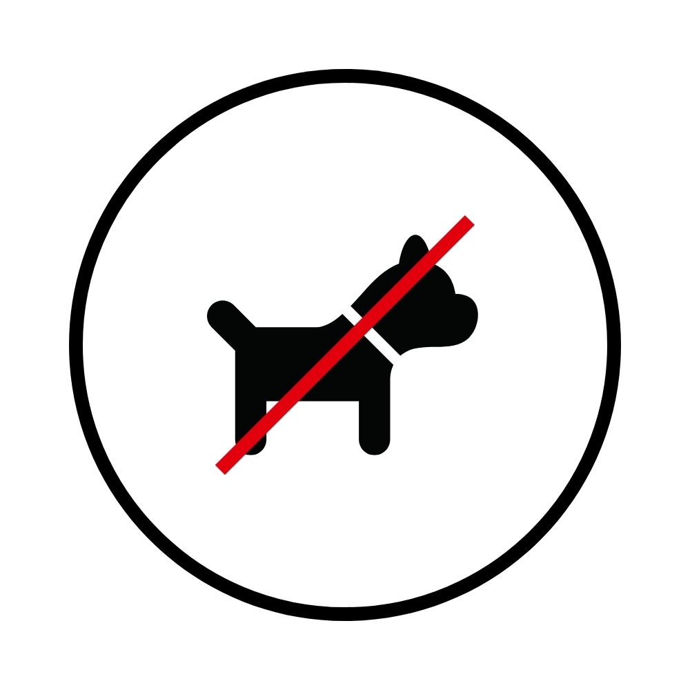 Détecteur PIr immunité animal