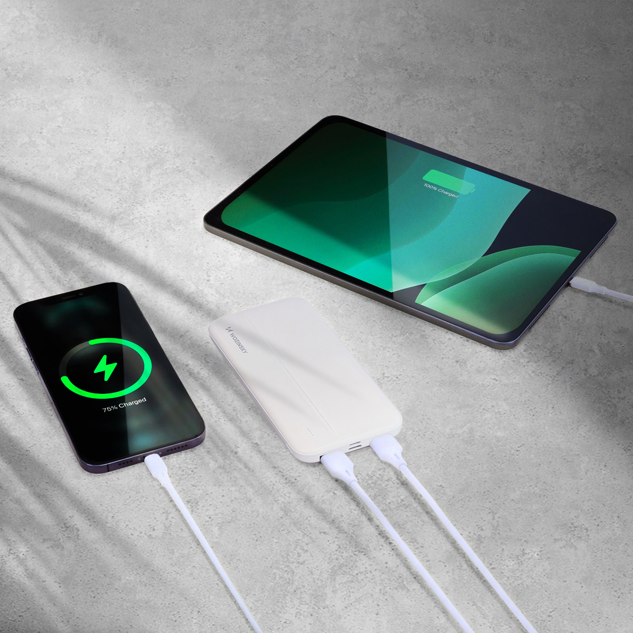 Powerbank Wozinsky WPBWE1 de 10000 mAh con protección total del dispositivo cargado
