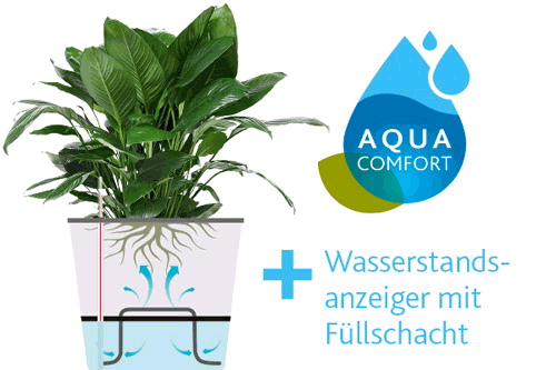 Aqua Comfort Bewässerungssystem